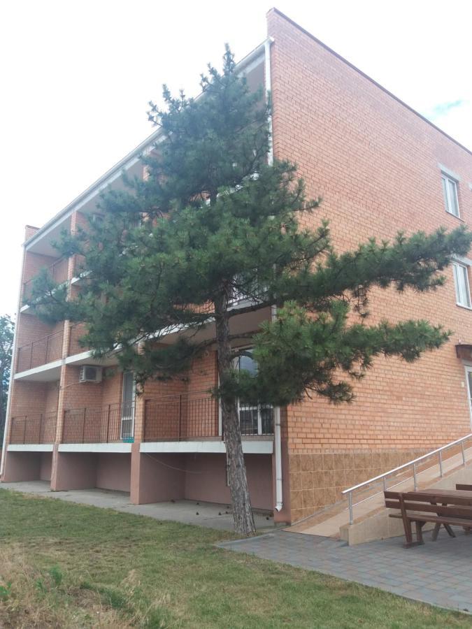 Пальмира Koblevo Exterior photo